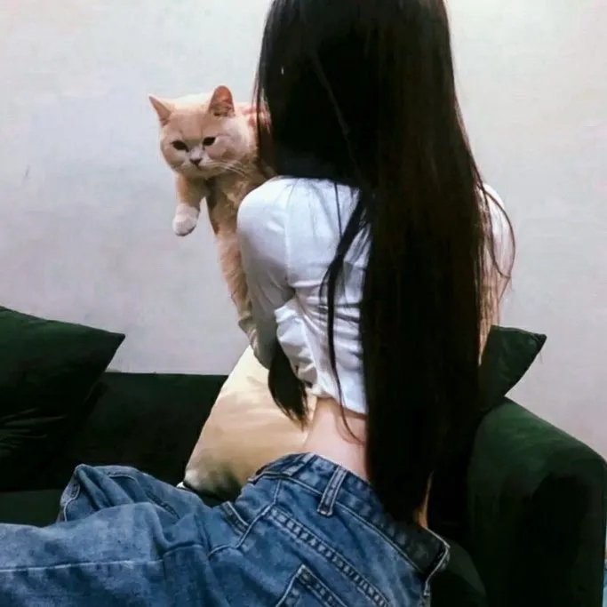 我的团长我的团