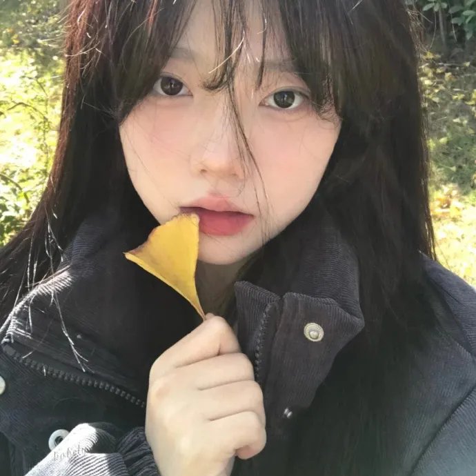 良辰美景又逢君